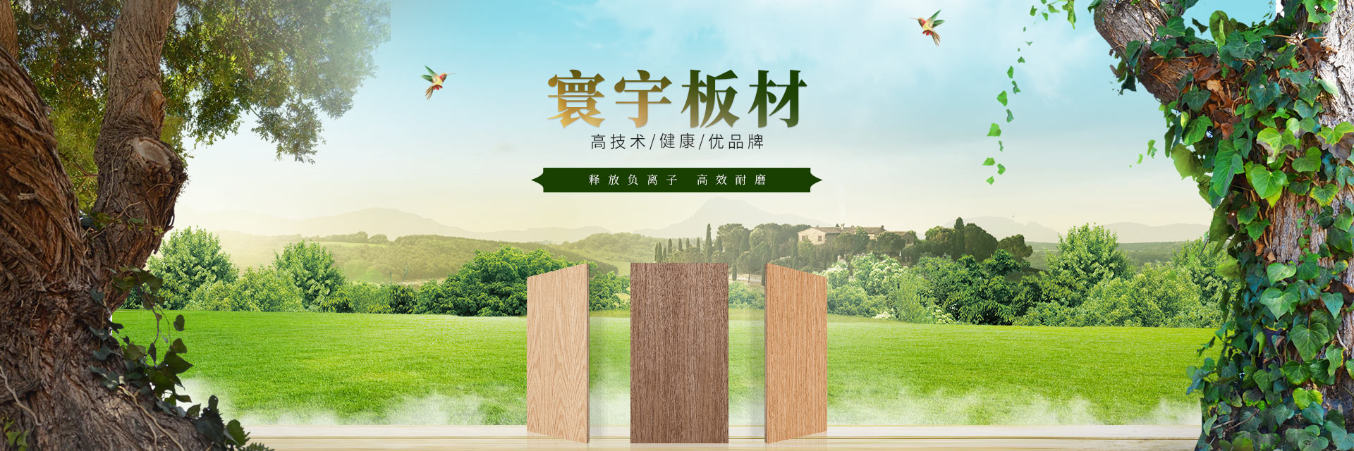 寰宇簡介